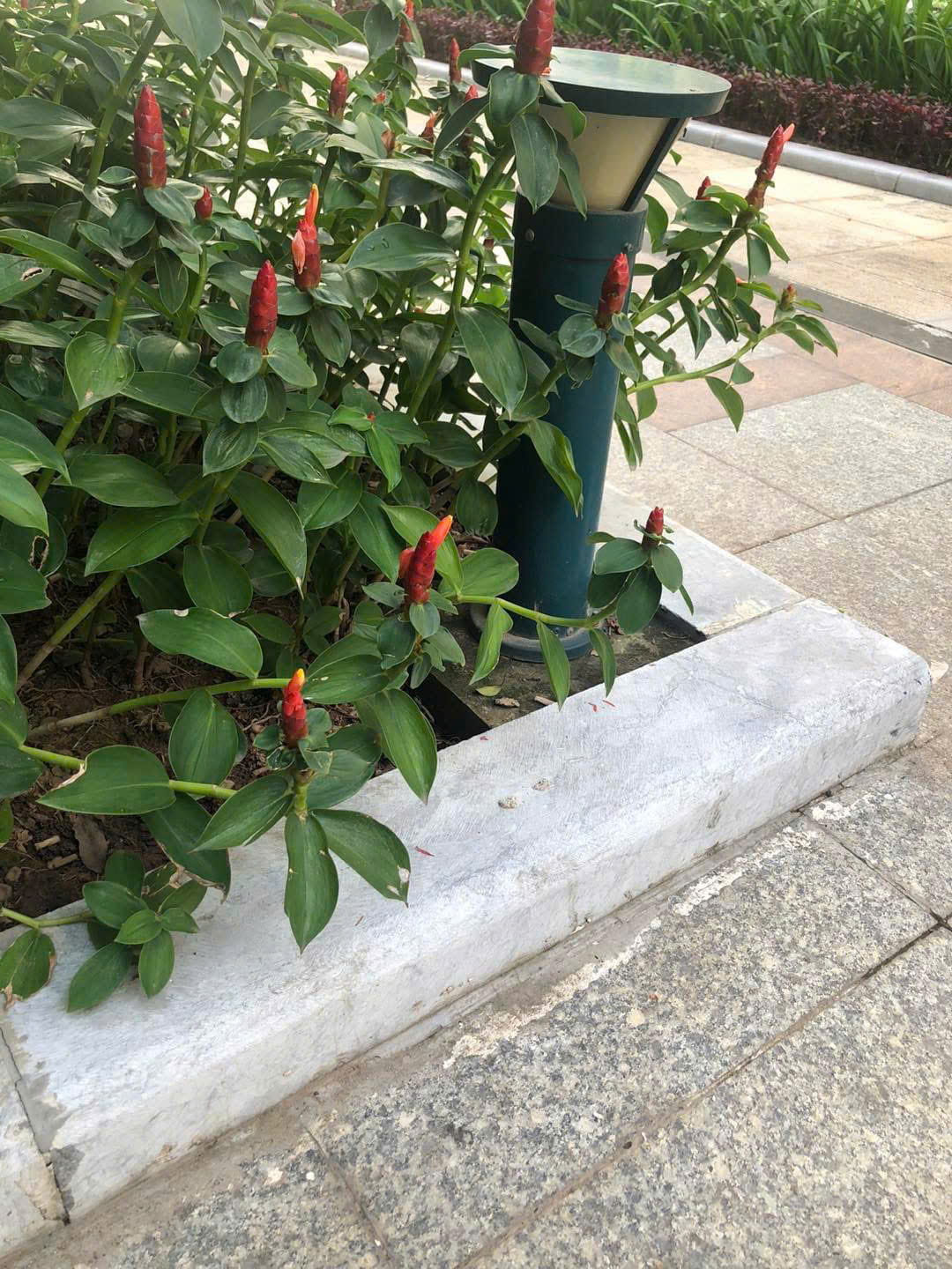 Đá Bó Vỉa Ghi Sáng